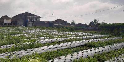 DIJUAL TANAH 9.955 M SHM - GEKBRONG CIANJUR