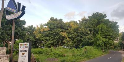 LAND FOR SALE NUSA PENIDA