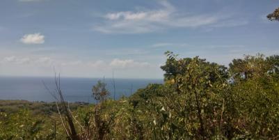 LAND FOR SALE NUSA TEGENUNGAN SUKAWATI