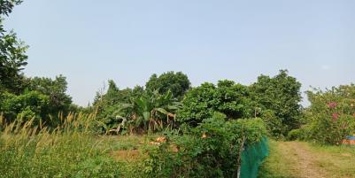Tanah 3600 m2 murah di Jatimulya Depok