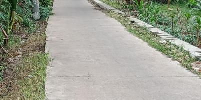 Dijual tanah dekat pasar pucung bagus untuk hunian