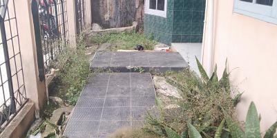 Halaman depan