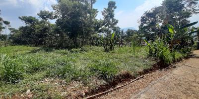 TANAH DI TANJUNGSARI SUMEDANG