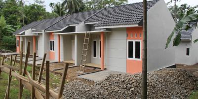 Anthurium Regency Purwokerto