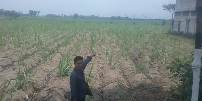 Dijual tanah Area kandat Kediri Harga nego