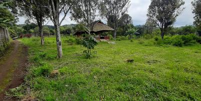 TANAH MATANG KAWASAN CIUMBULEUIT BANDUNG