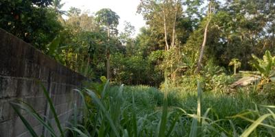 tanah
