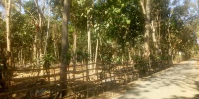 BU Segera, Tanah Dijual Cepat Desa Sumber Sanankulon Blitar harga 7jt/ru (nego)