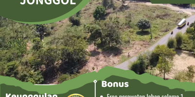 TANAH KAVLING NUANSA ALAM DI PUNCAK 2 BOGOR | VIEW PEGUNUNGAN | DEKAT DESTINASI WISATA | BISA DIBANGUN VILLA DAN RUMAH