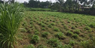 Dijual Rumah Bendogerit Kota Blitar harga bisa nego