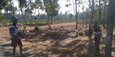 Dijual Tanah Srengat Blitar harga 250rb/m2