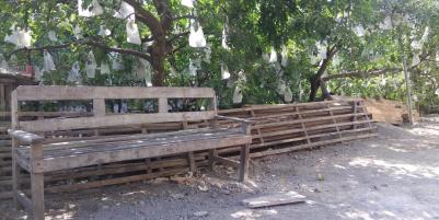 Dijual tanah bonus pohon belimbing Tanjungsari Blitar 