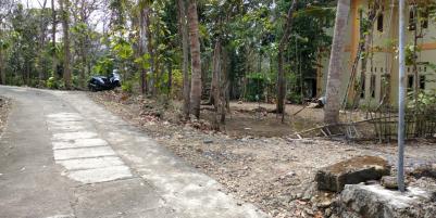 Tanah di lendah kulon progo yogyakarta
