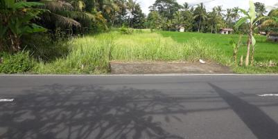 Dijual tanah di jalan utama Kedewatan ubud