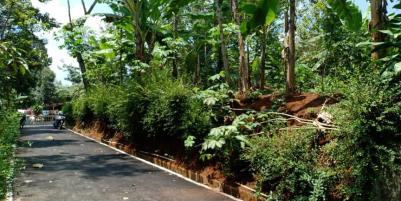Kebun Durian Hanya 160jt Mojogedang Karanganyar