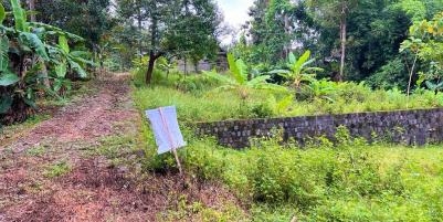 Kebun Durian Bonus Joglo Sederhana Karanganyar