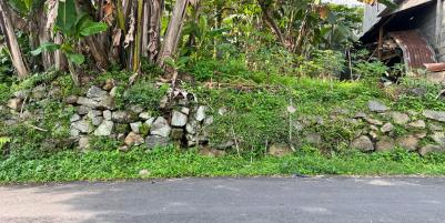 Jual Tanah 176m² Karangpandan, Karanganyar