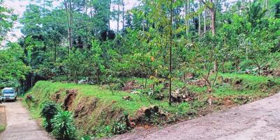 Jual Cepat Tanah 135 Juta Ngargoyoso Karanganyar
