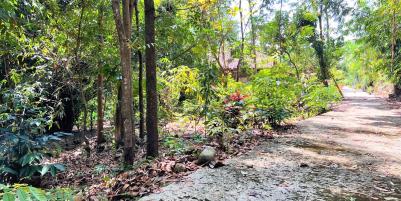 Tanah Dekat Sungai & Sawah Mojogedang Karanganyar