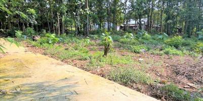 Tanah Pekarangan Hanya 90Juta Sragen
