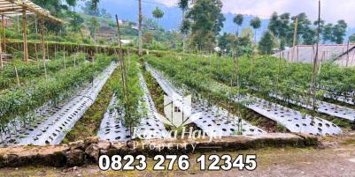 Dijual Tanah Datar 600m² Kemuning Karanganyar