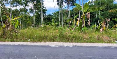 Tanah Datar 1 Hektar Karangpandan Karanganyar