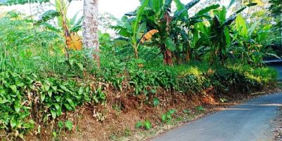 Tanah 3000m² Datar Kemuning Karanganyar