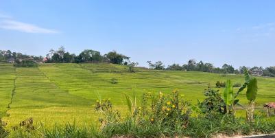 Dijual Tanah 1000m2 Datar Barat Pasar Karangpandan Karanganyar