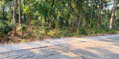 Tanah Dekat Sungai 1155m² Mojogedang Karanganyar