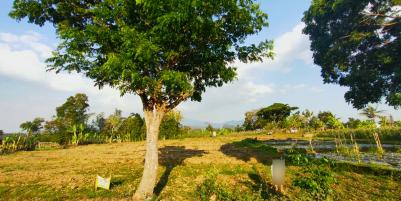 Dijual Tanah 2967m² Jln DPU Matesih Karanganyar