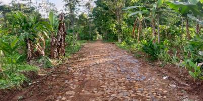Tanah Murah 99 Juta Dekat Candi Cetho Kemuning