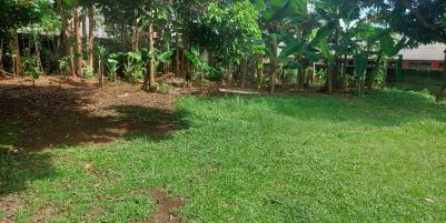 Dijual Tanah Kosong di Jalan Madrasah, Depok