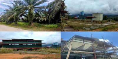 Dijual Kebun & Pabrik Kelapa Sawit, Mamuju Tengah