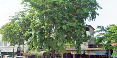 Dijual Gedung di Kuningan Timur, Jakarta Selatan