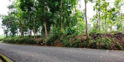 Tanah Strategis Dibangun Rumah Tinggal Dekat Pasar Karangpandan Kra