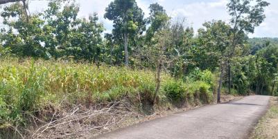 Jual Tanah Datar 8001m 90rb/m Siap Bangun Sragen 