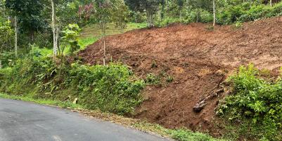 Kebun Alpukat 1200m Jalan DPU Ngargoyoso 