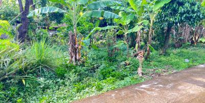 Tanah 55 Juta Dekat Pasar Jambangan Kedawung Sragen 