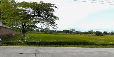 Tanah 4471m² Strategis Tepi Jl Raya Batujamus- Jambangan Solo 