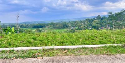  Tanah 4121m² View Hamparan Sawah Karanganyar 