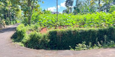 Tanah Strategis 794m Utara Pasar Mojogedang Karanganyar 