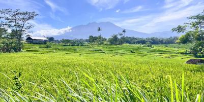 Tanah Datar View Gunung Lawu Karangpandan, Karanganyar