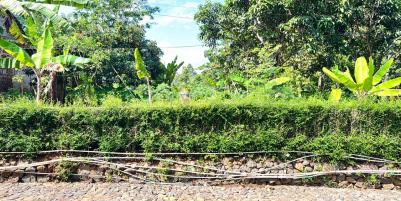 Tanah 800m² Cocok untuk Rumah Tinggal Karanganyar