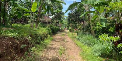 Tanah Datar 3600m² Udara Sejuk Karanganyar 