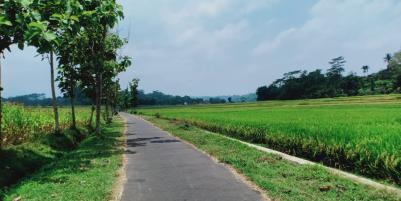 Sawah Produktif 1 Hektar Mojogedang Karanganyar