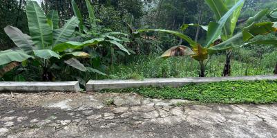 Tanah 1300m² Dekat Sungai Wisata River Tubing Ngargoyoso 