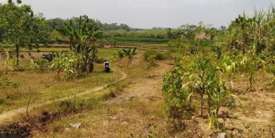 Jual Tanah Strategis di Desa Langen Harjo Sukoharjo