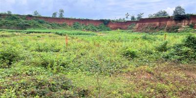 Tanah Murah 60 Juta Timur Pasar Kedawung Sragen