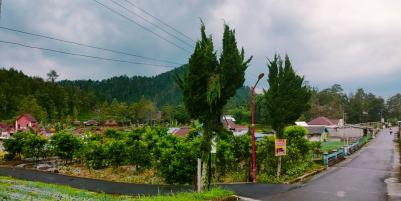 Tanah View Perbukitan Kemuning Ngargoyoso Karanganyar