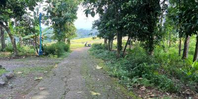 Tanah Istimewa View Hamparan Sawah Karanganyar 